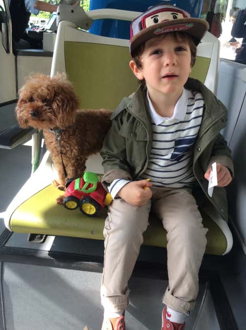 Caniche marrón sentado junto a un niño en un asiento de un autobús clínica veterinaria El Jardín