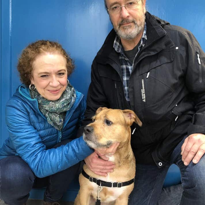 Matrimonio con un perro mestizo marrón agachados en la clínica veterinaria El Jardín.