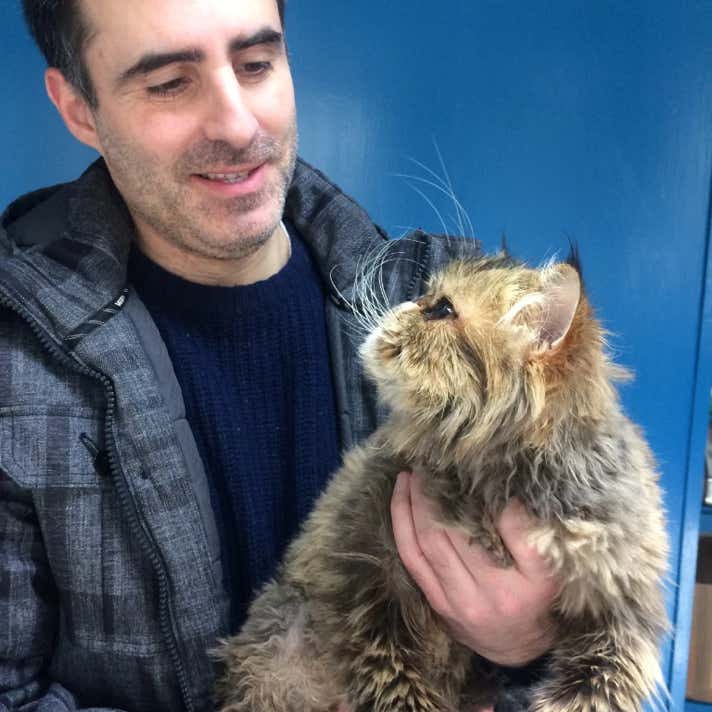 Chico con un gato persa de pelo largo marrón en brazos en la clínica veterinaria El Jardín.