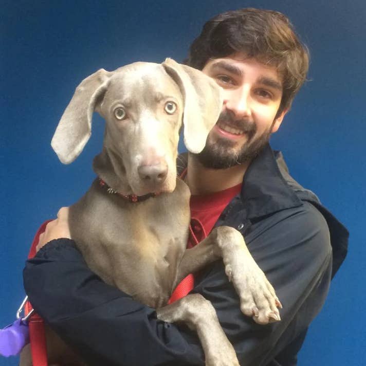 Chico con un perro braco weimar en brazos en la clínica veterinaria El Jardín.