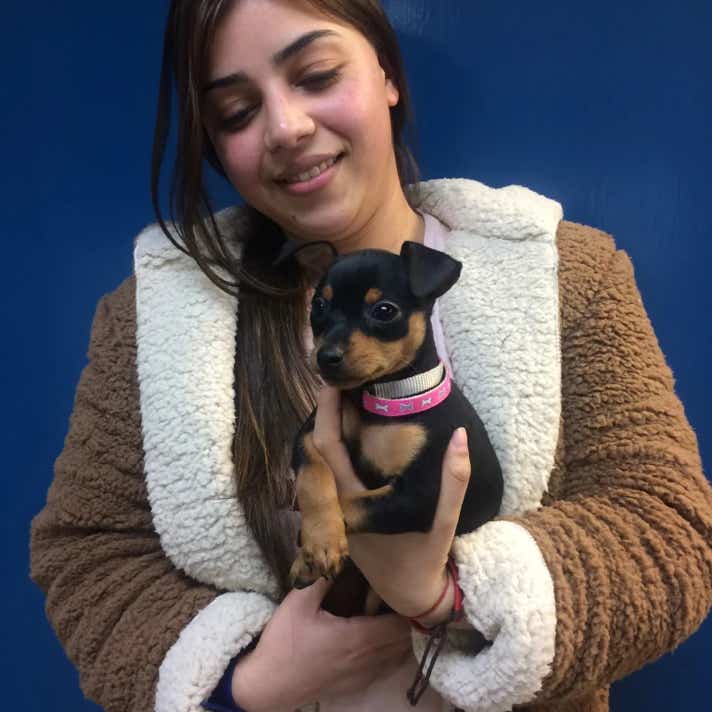 Chica con un perro pinscher miniatura en brazos en la clínica veterinaria El Jardín.