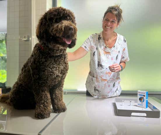Veterinaria realizando tratamiento de desparasitación a un perro en la clínica veterinaria El Jardín.
