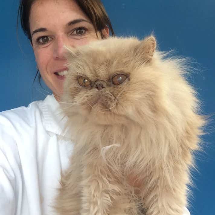 Veterinaria con un gato persa de pelo largo color beige en brazos en la clínica veterinaria El Jardín.