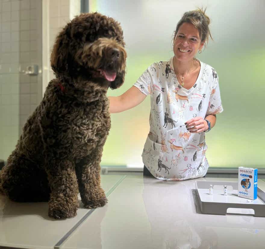 Veterinaria realizando tratamiento de desparasitación a un perro en la clínica veterinaria El Jardín.