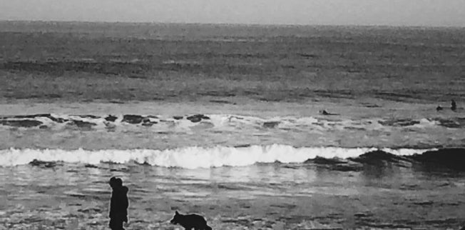 Chico con perro paseando por la playa de la Zurriola clínica veterinaria El Jardín