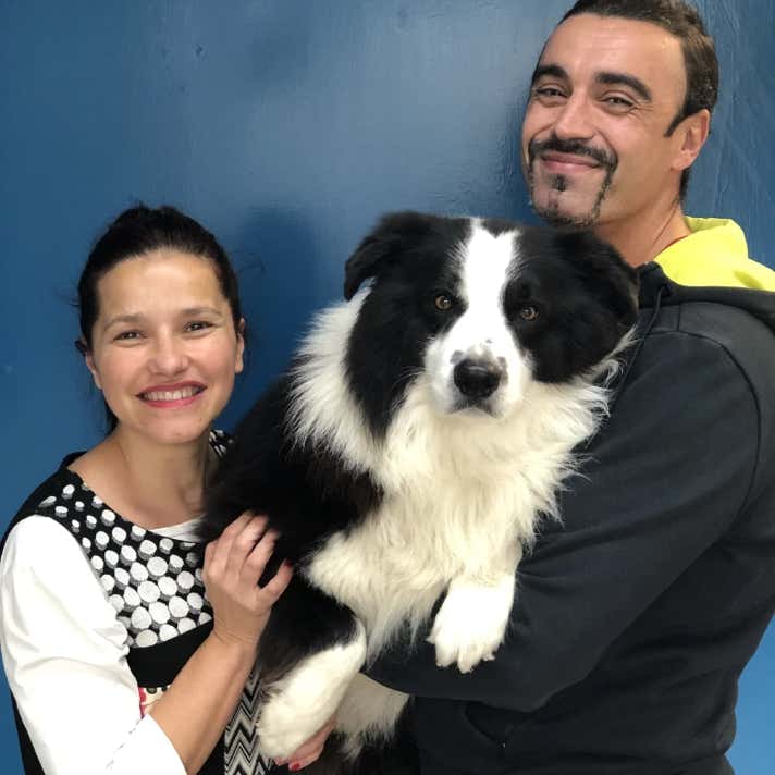 Pareja con un perro border collie negro y blanco en brazos en la clínica veterinaria El Jardín.